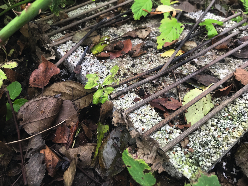 CASUSGRILL - ekologický gril na jedno použitie