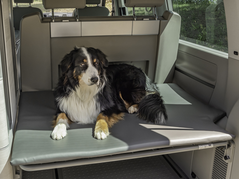 DOG PAD - Trunk support for VW California