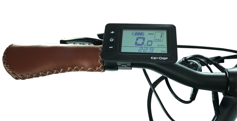 Skladací elektrobicykel Blaupunkt City „FRIDA“