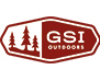 GSI